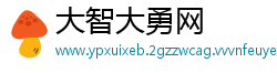 大智大勇网